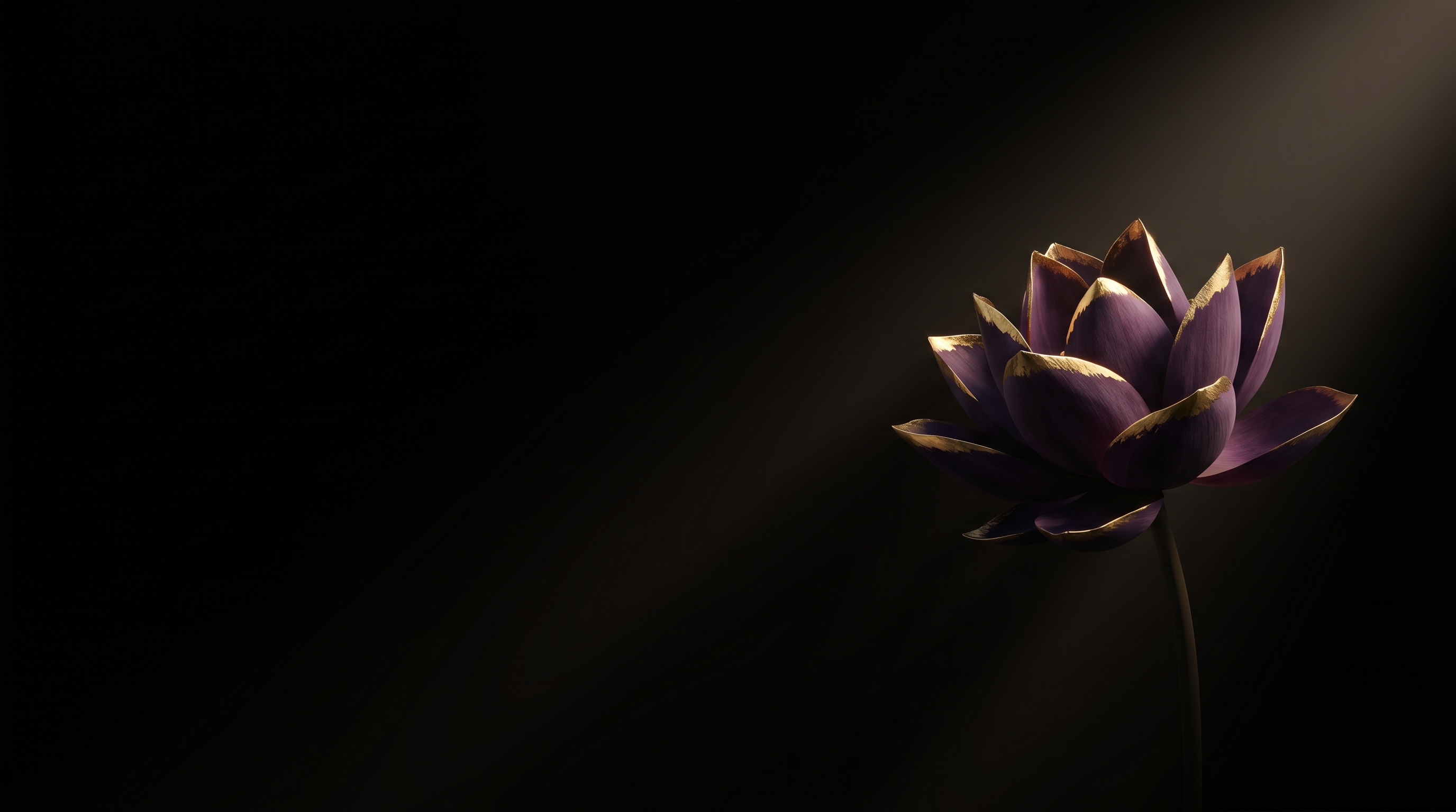 Dark Lotus Flower Gold Highlights